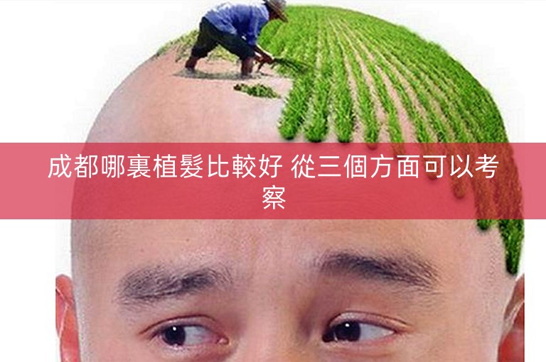 成都哪裏植髮比較好 從三個方面可以考察