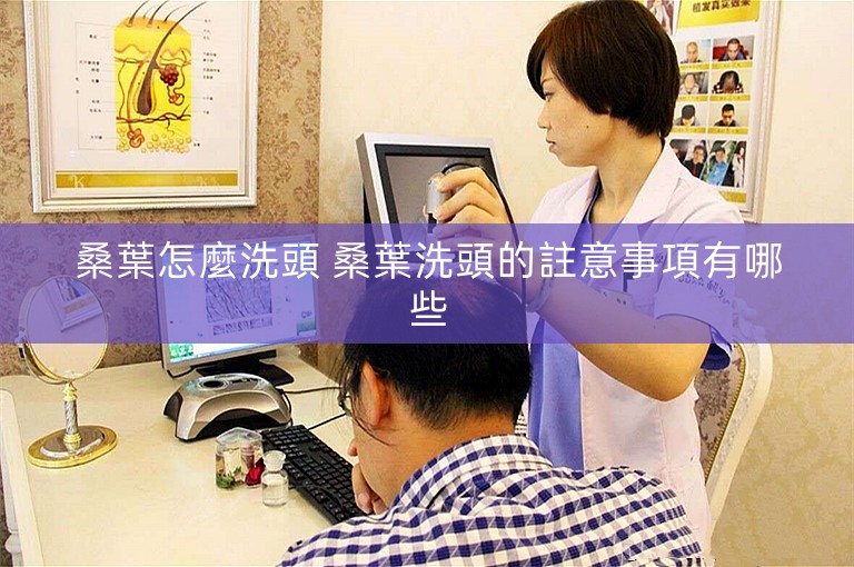 桑葉怎麼洗頭 桑葉洗頭的註意事項有哪些 桑葉怎麼洗頭 桑葉洗頭的註意事項有哪些