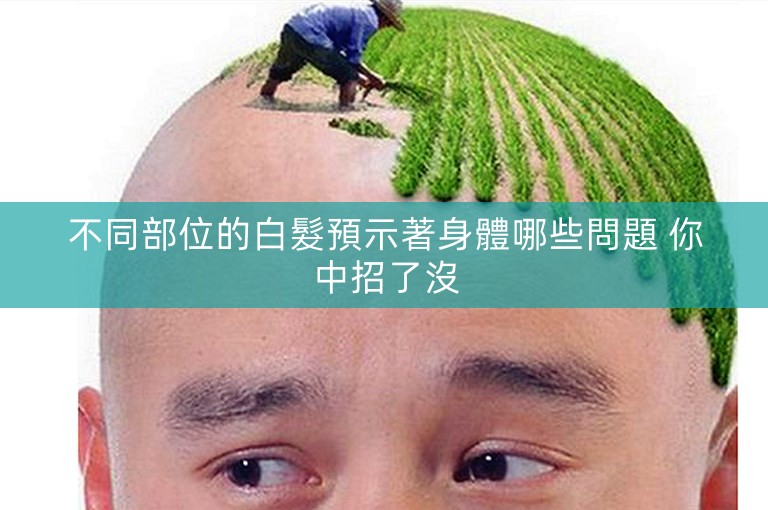 不同部位的白髮預示著身體哪些問題 你中招了沒