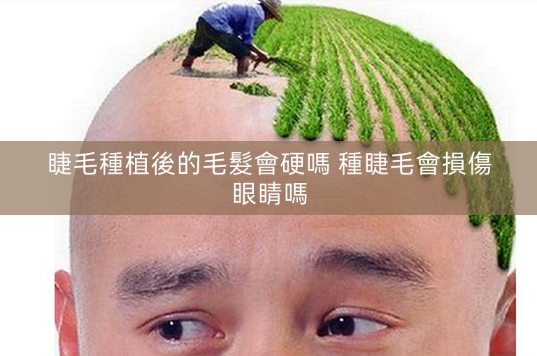 睫毛種植後的毛髮會硬嗎 種睫毛會損傷眼睛嗎